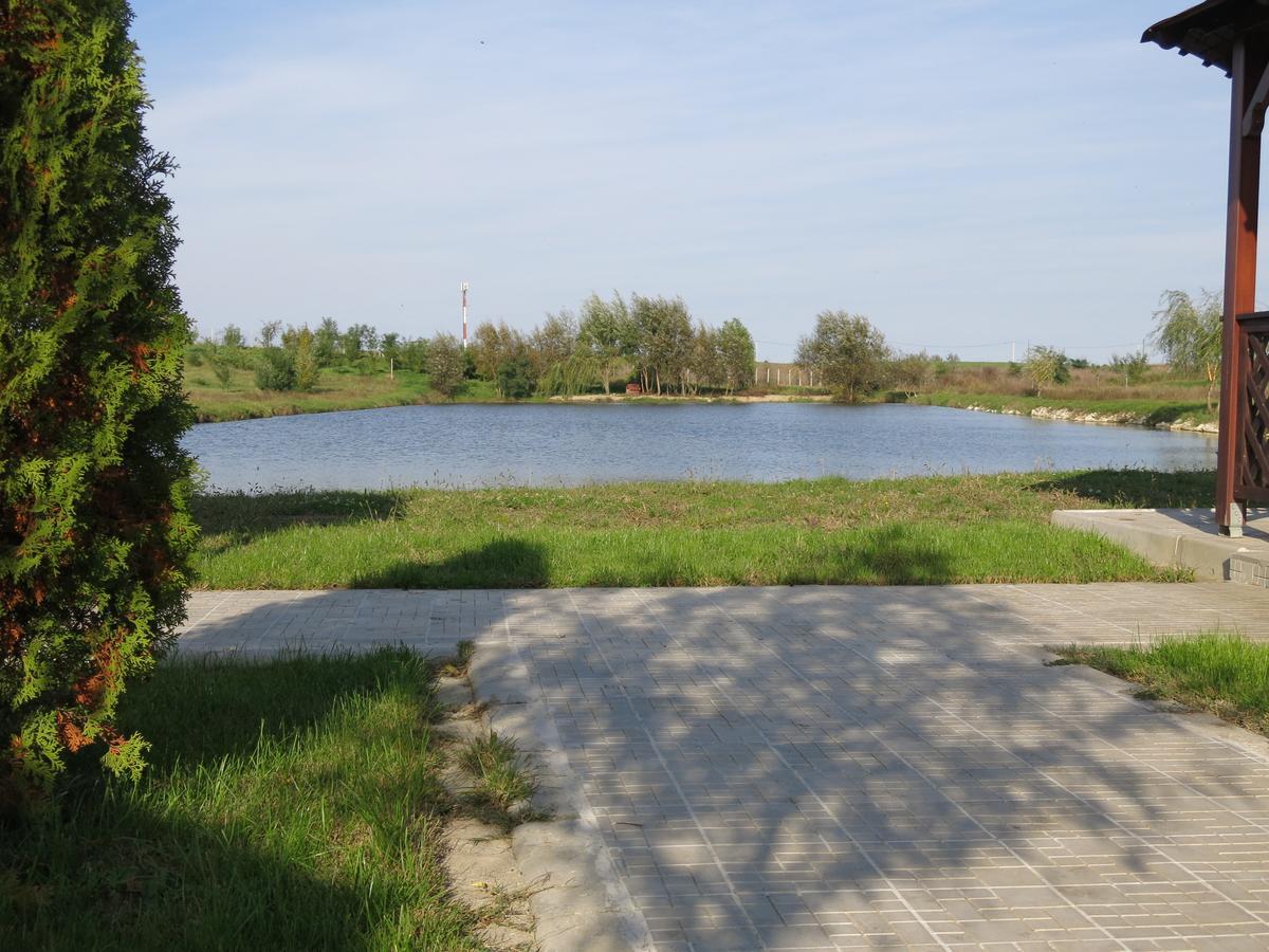 Conacul De Pe Lac Sagu Exteriör bild